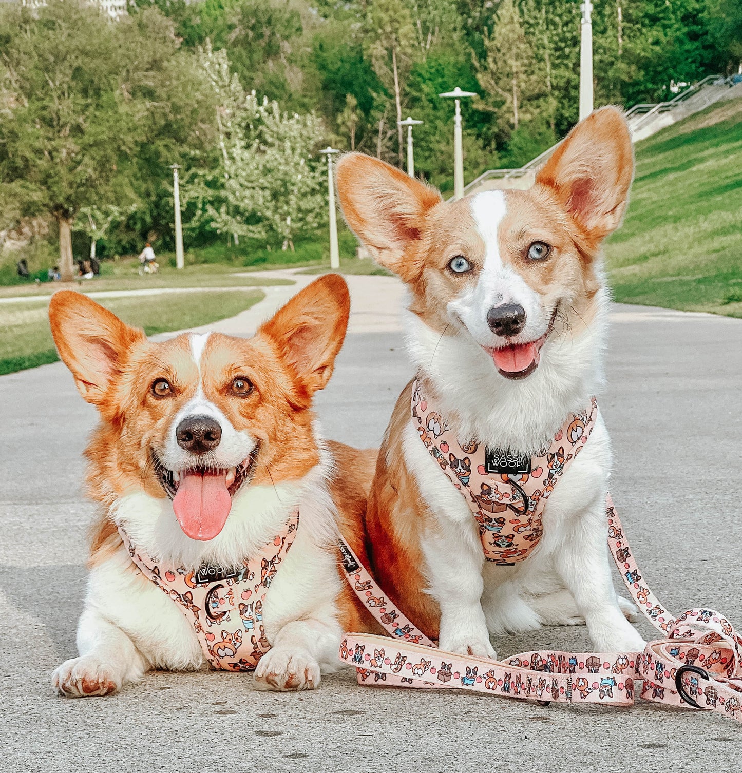 Pettorina regolabile per cane Corgilicious - 'Corgilicious' Adjustable Dog Harness