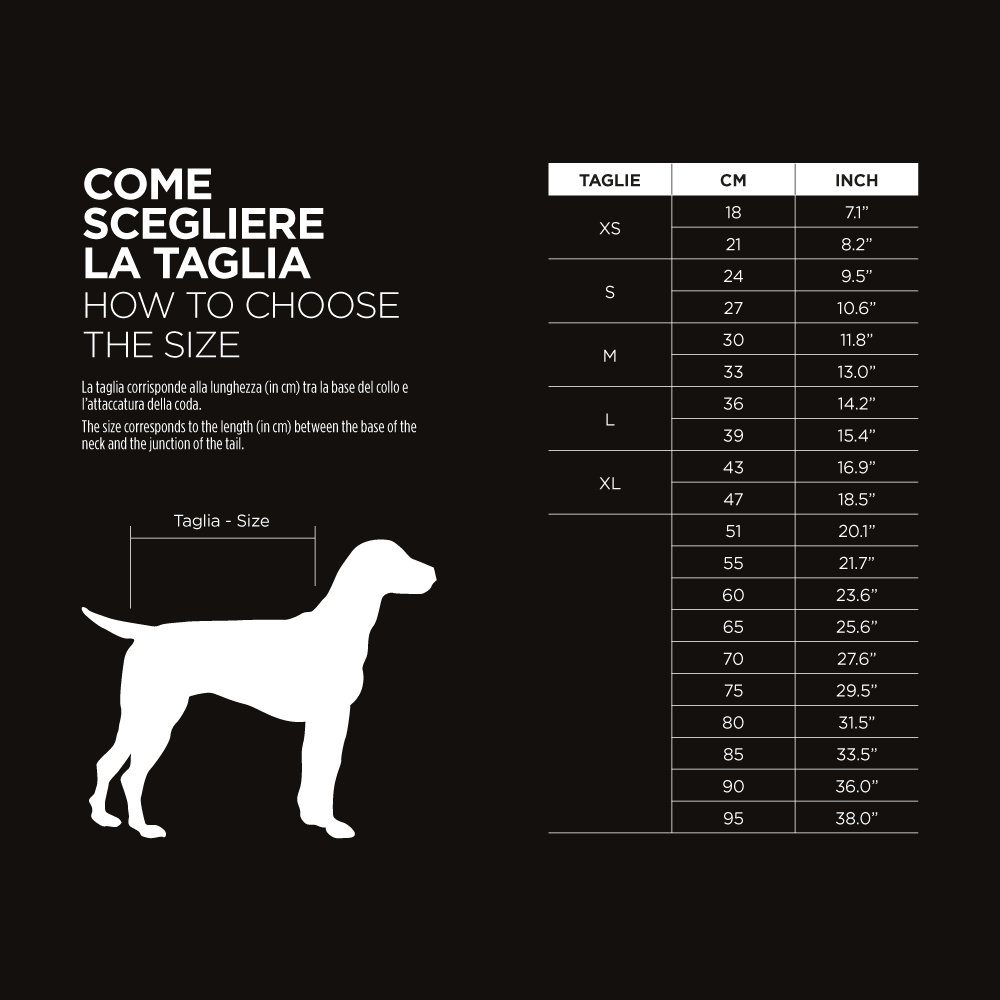 Pepper Dress Shirt and Skirt