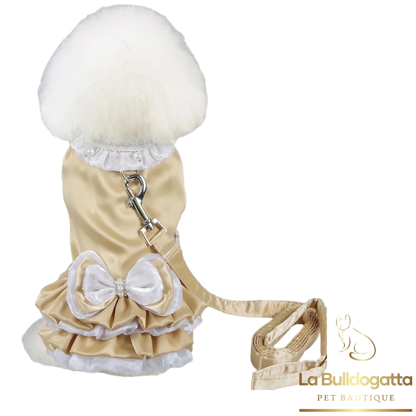 Elegant Goldie Dress