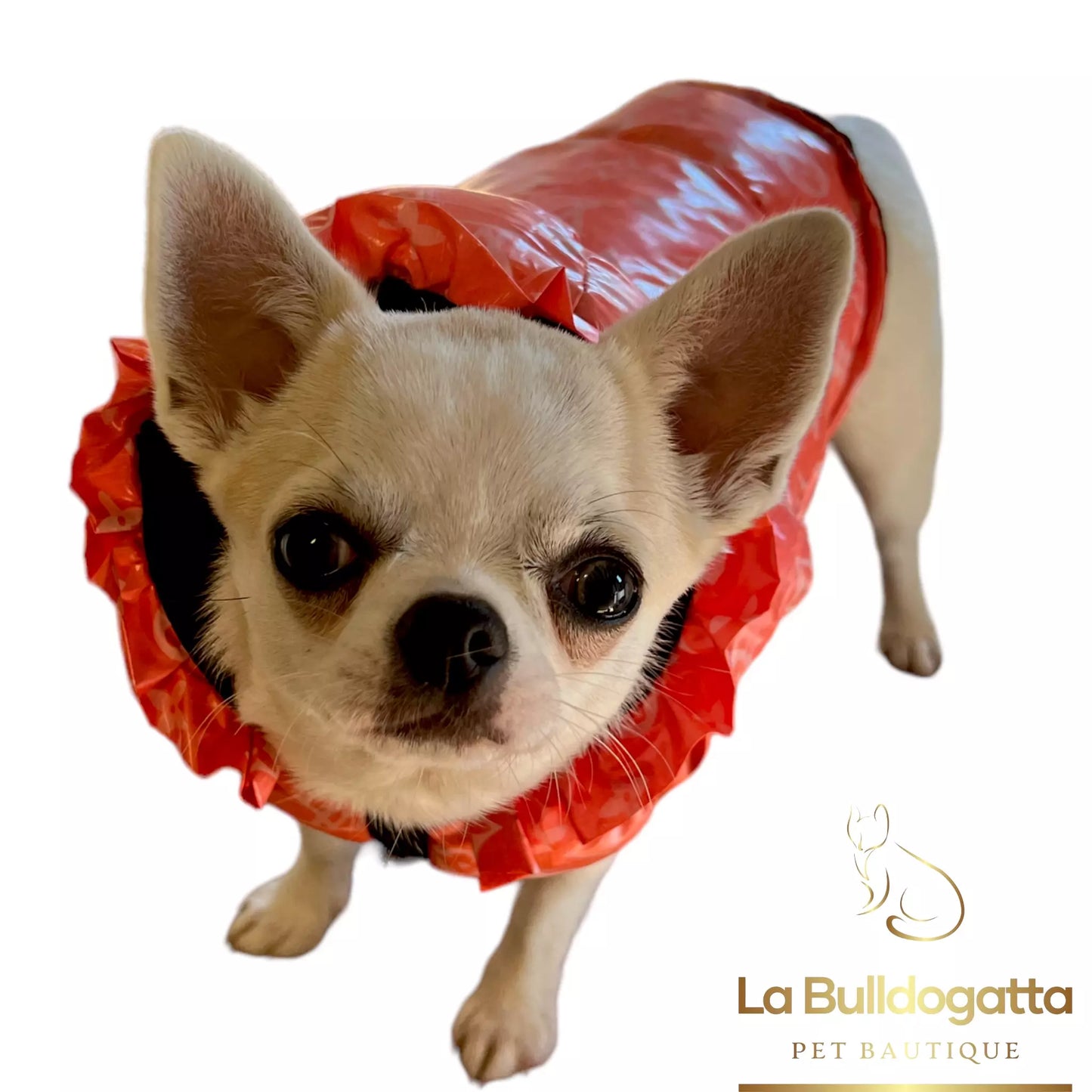 Orange LV ruffle padded jacket