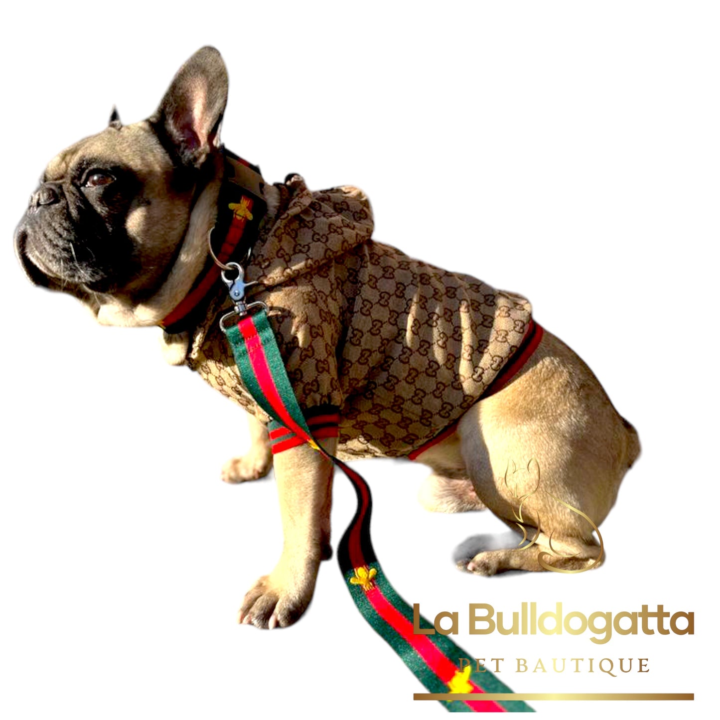 Giubbotto per cane stampa allover GG con dettagli in contrasto