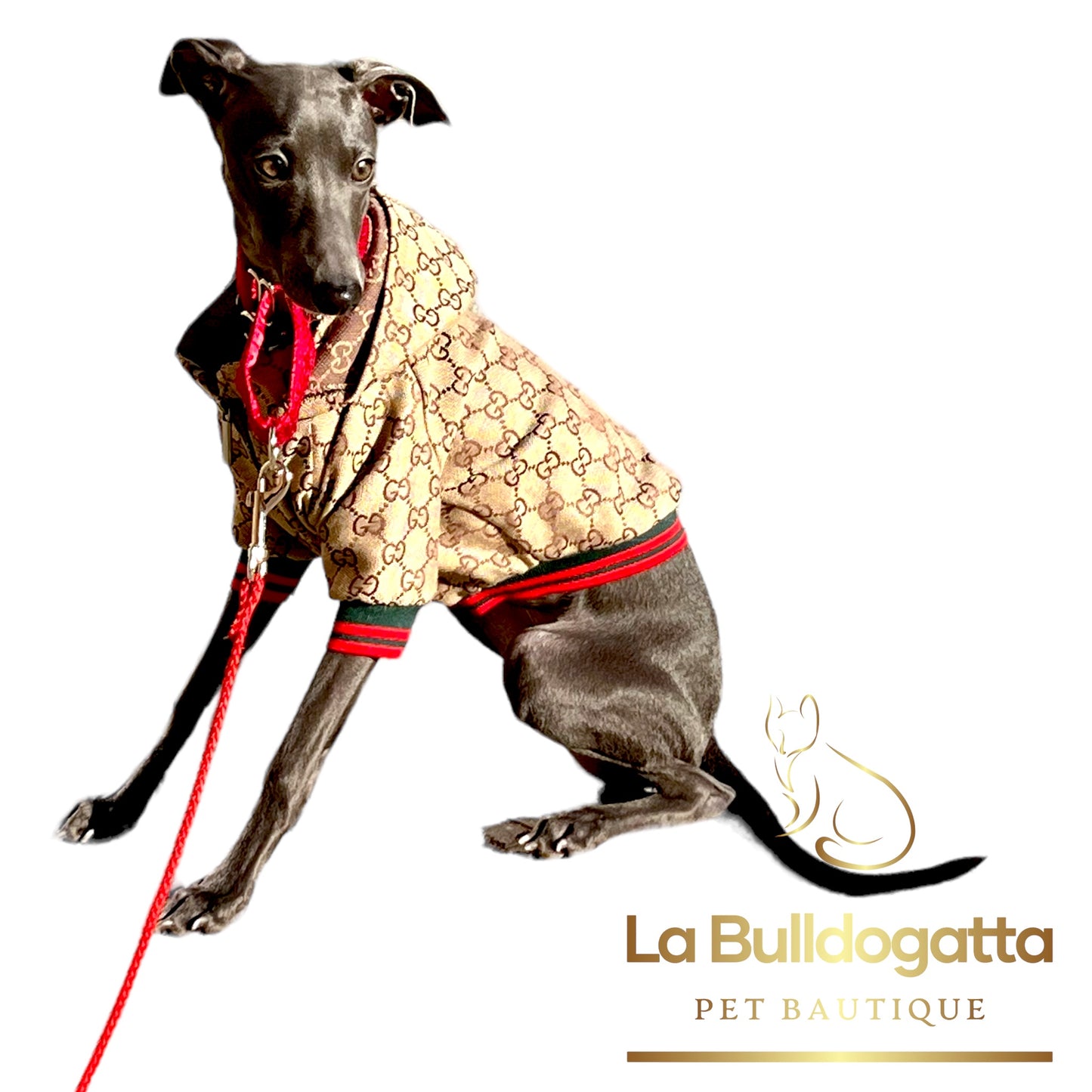 Giubbotto per cane stampa allover GG con dettagli in contrasto