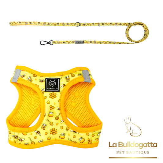 Set cat harness+ leash Bee hiving
