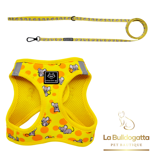 Set cat harness+ leash Cheesi,n around