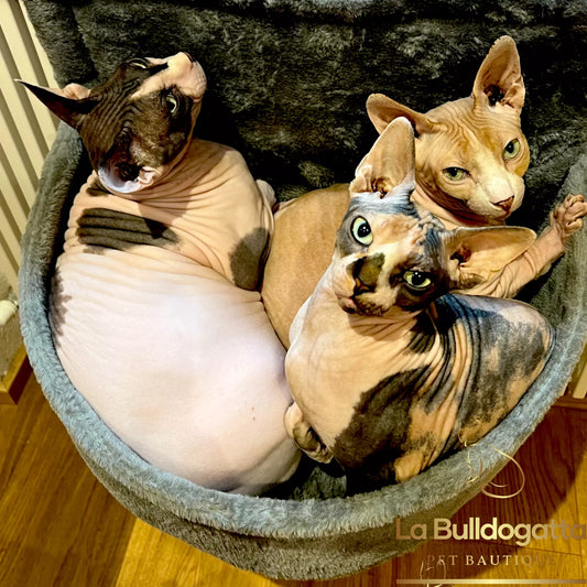 Radiator hammock for cats - Basket