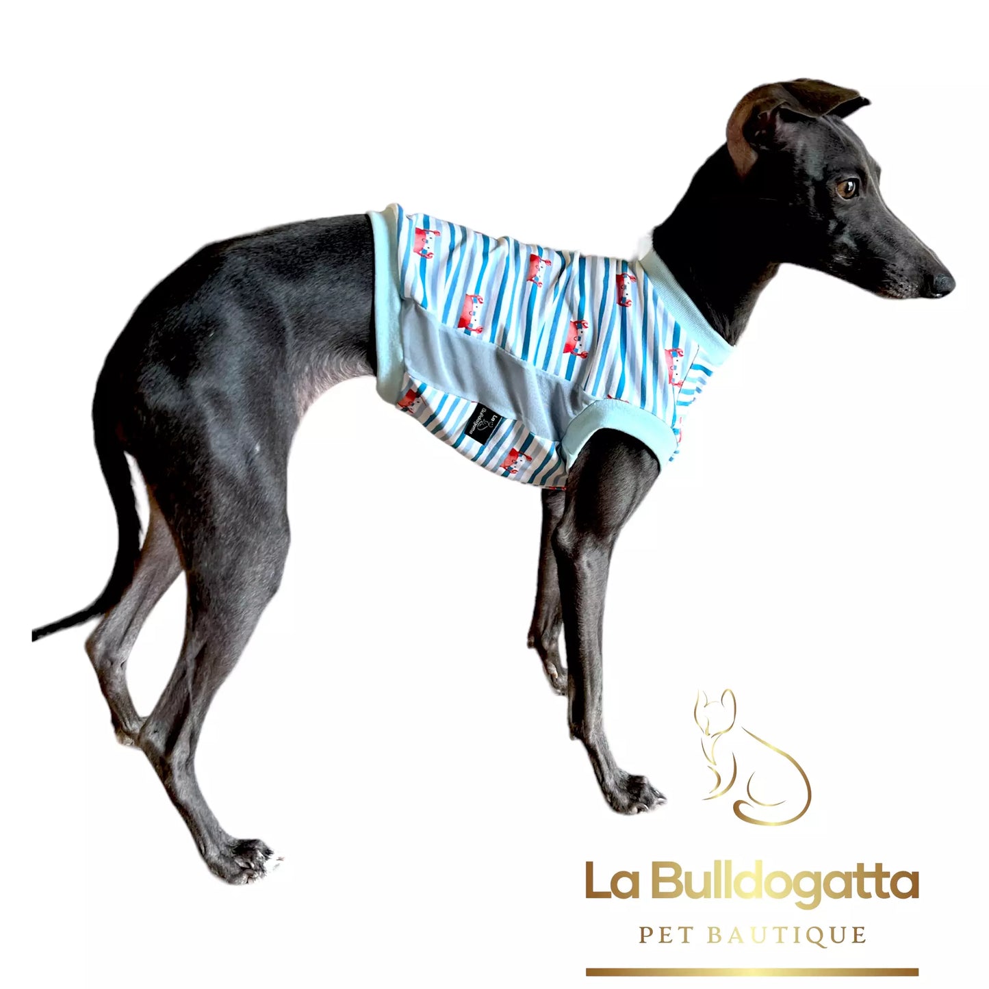 CUSTOM SWEATSHIRT SMALL ITALIAN GREYHOUND
