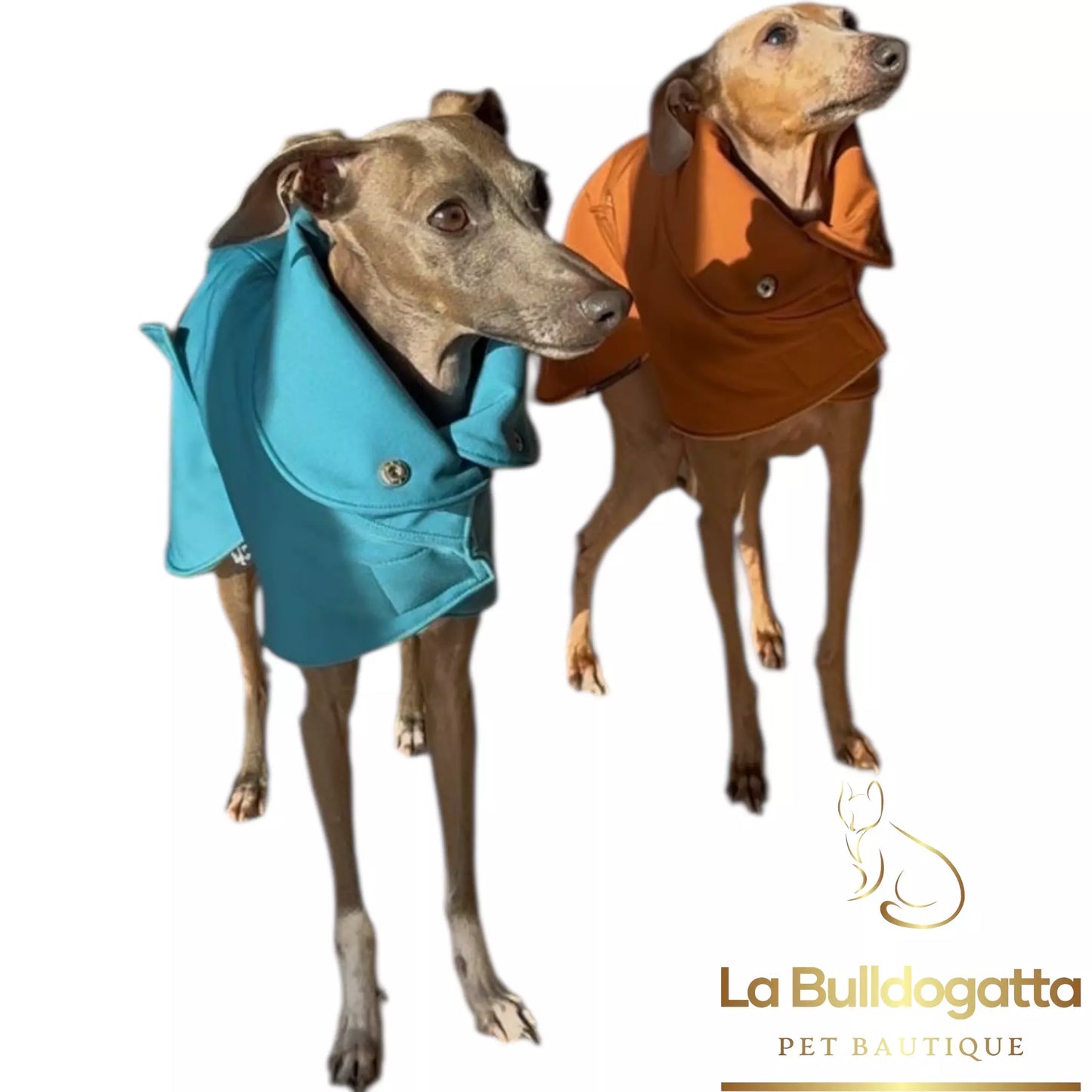 Impermeabile invernale collo versatile  - vari tessuti - PICCOLO LEVRIERO ITALIANO - SU MISURA