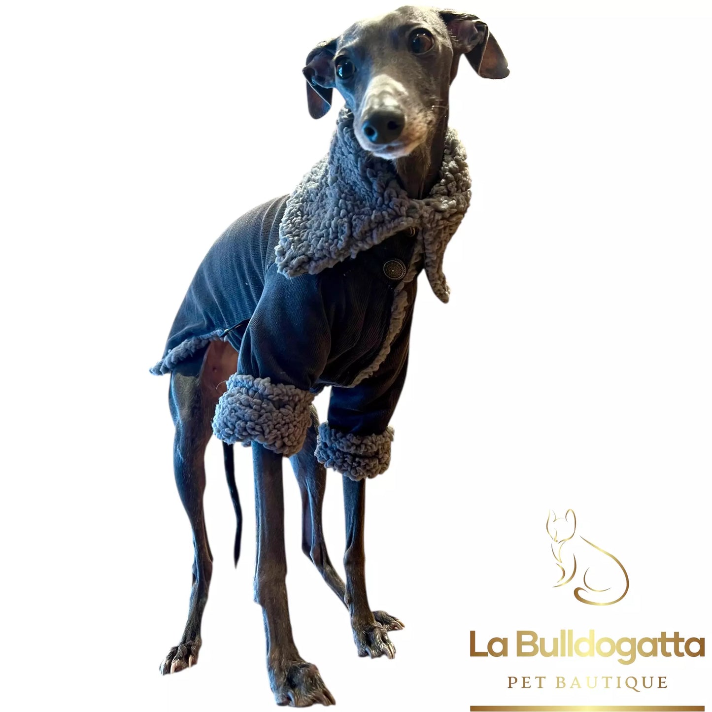 Cappottino con maniche in velluto a costine stretch e pile sherpa - PICCOLO LEVRIERO ITALIANO - SU MISURA