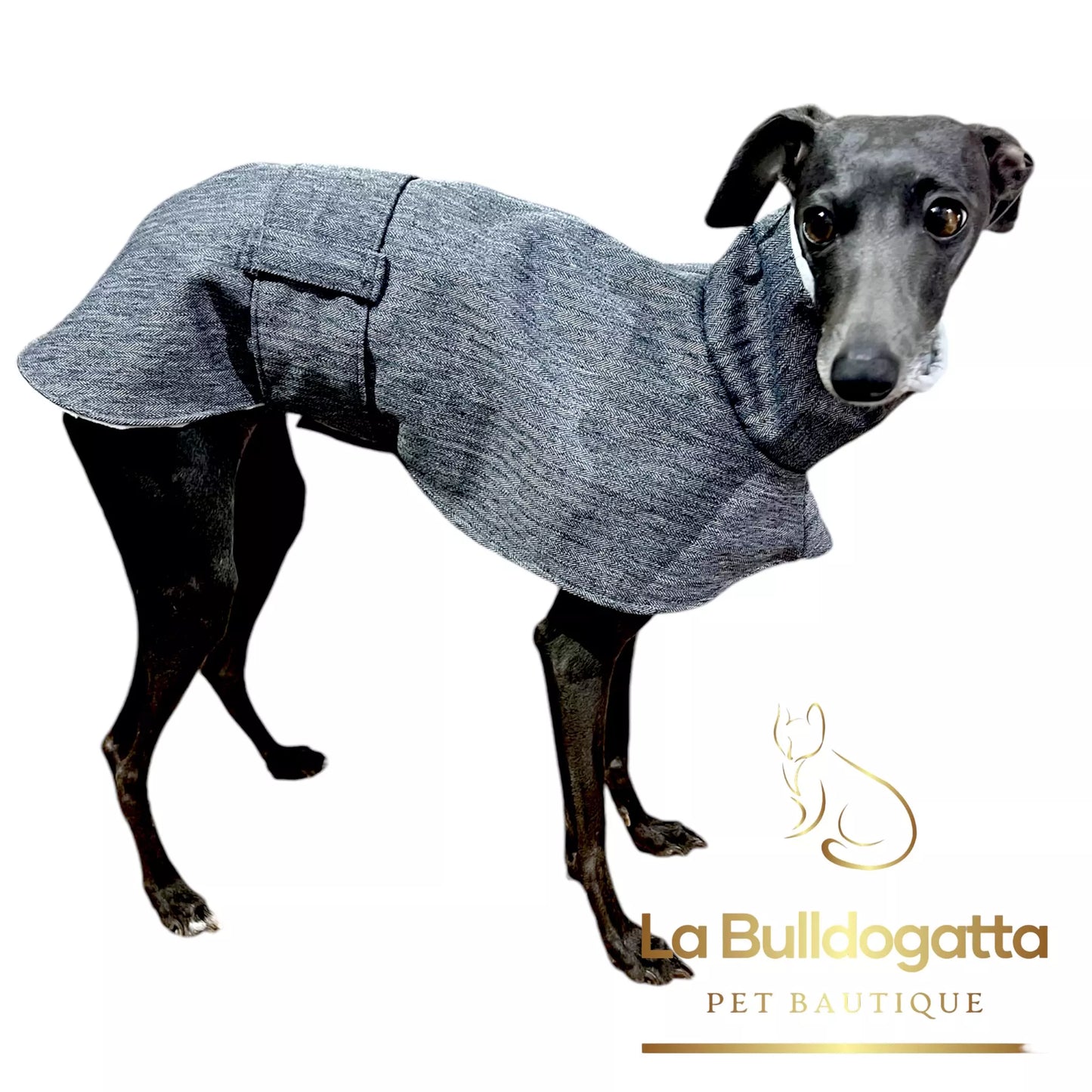 Cappottino reverse softshell/pile - vari tessuti - PICCOLO LEVRIERO ITALIANO - SU MISURA