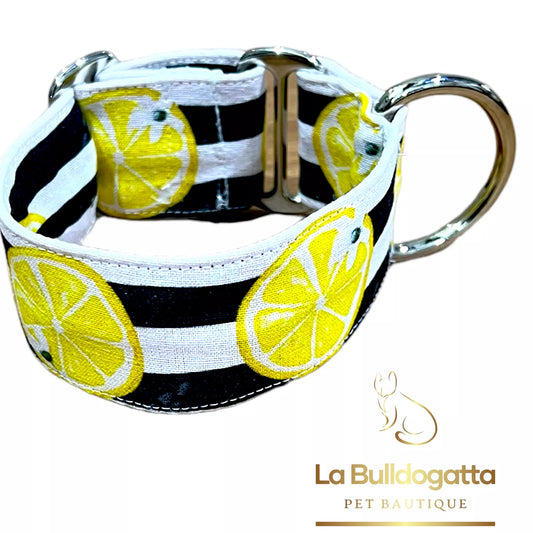 Collare regolabile 40 mm LEMON PICCOLO LEVRIERO ITALIANO