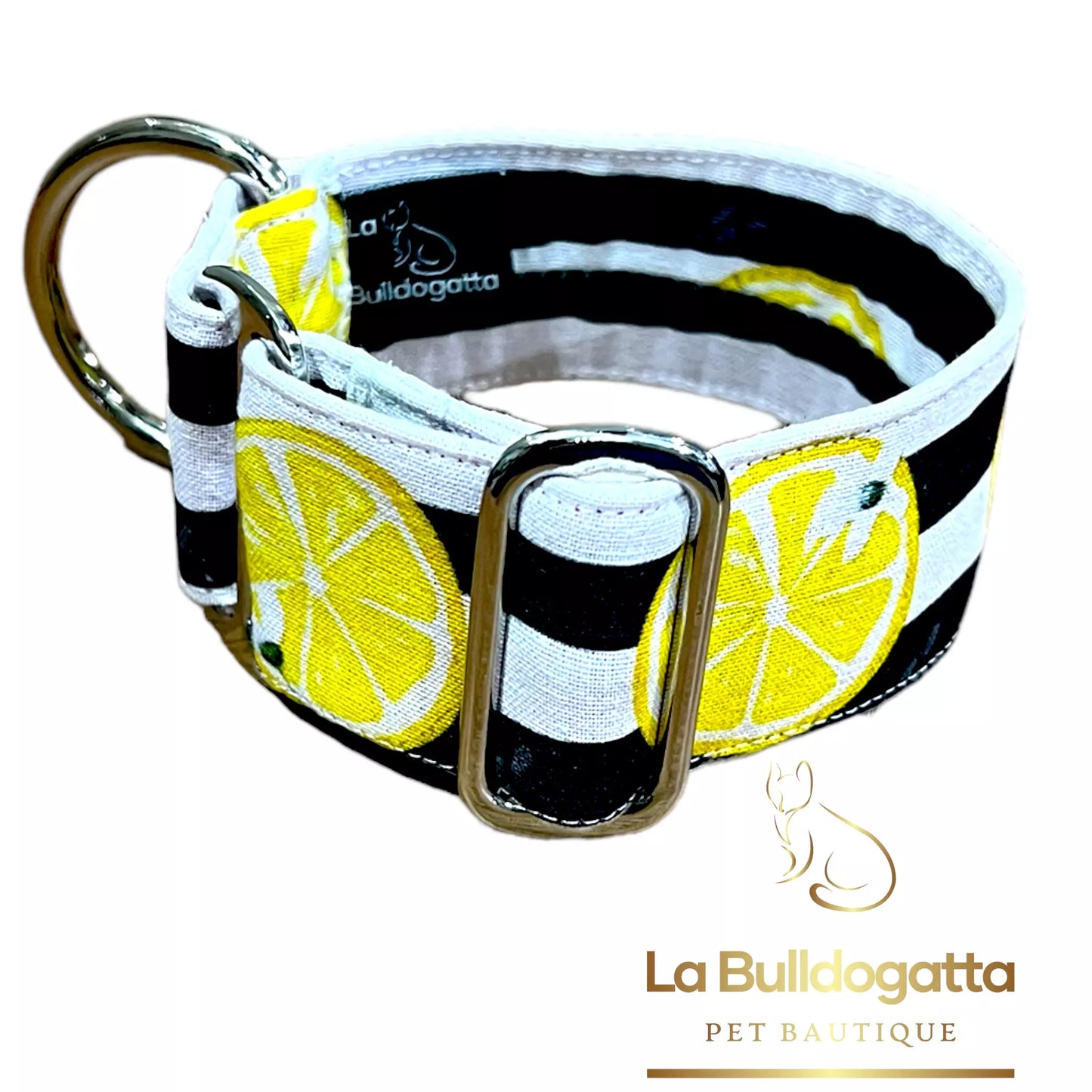 Collare regolabile 40 mm LEMON PICCOLO LEVRIERO ITALIANO