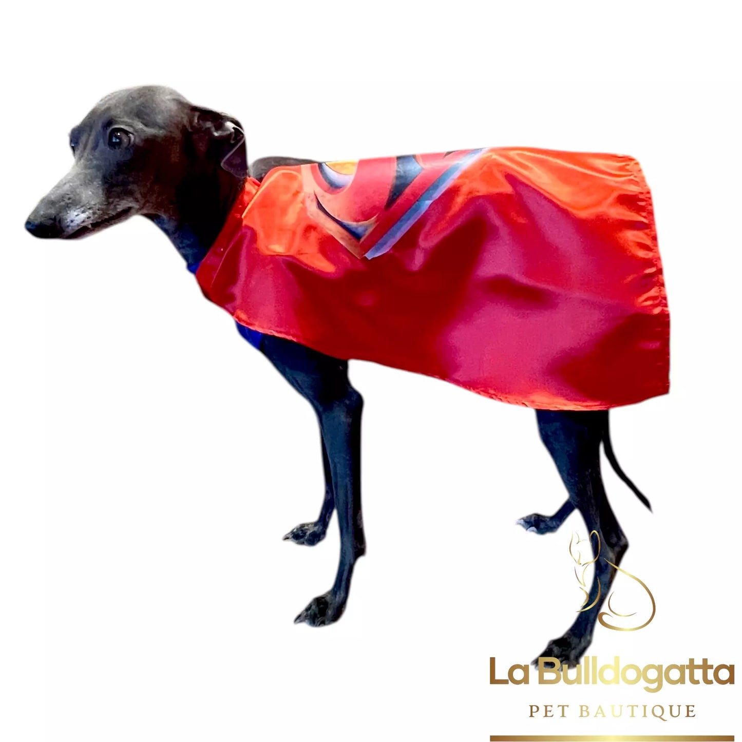 Gualdrappe personalizzate per levrieri - racing, coursing, squadra nazionale, premiazioni, supereroi