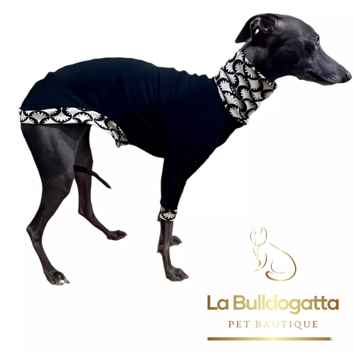 Felpina Black White Elegance PICCOLO LEVRIERO ITALIANO - SU MISURA