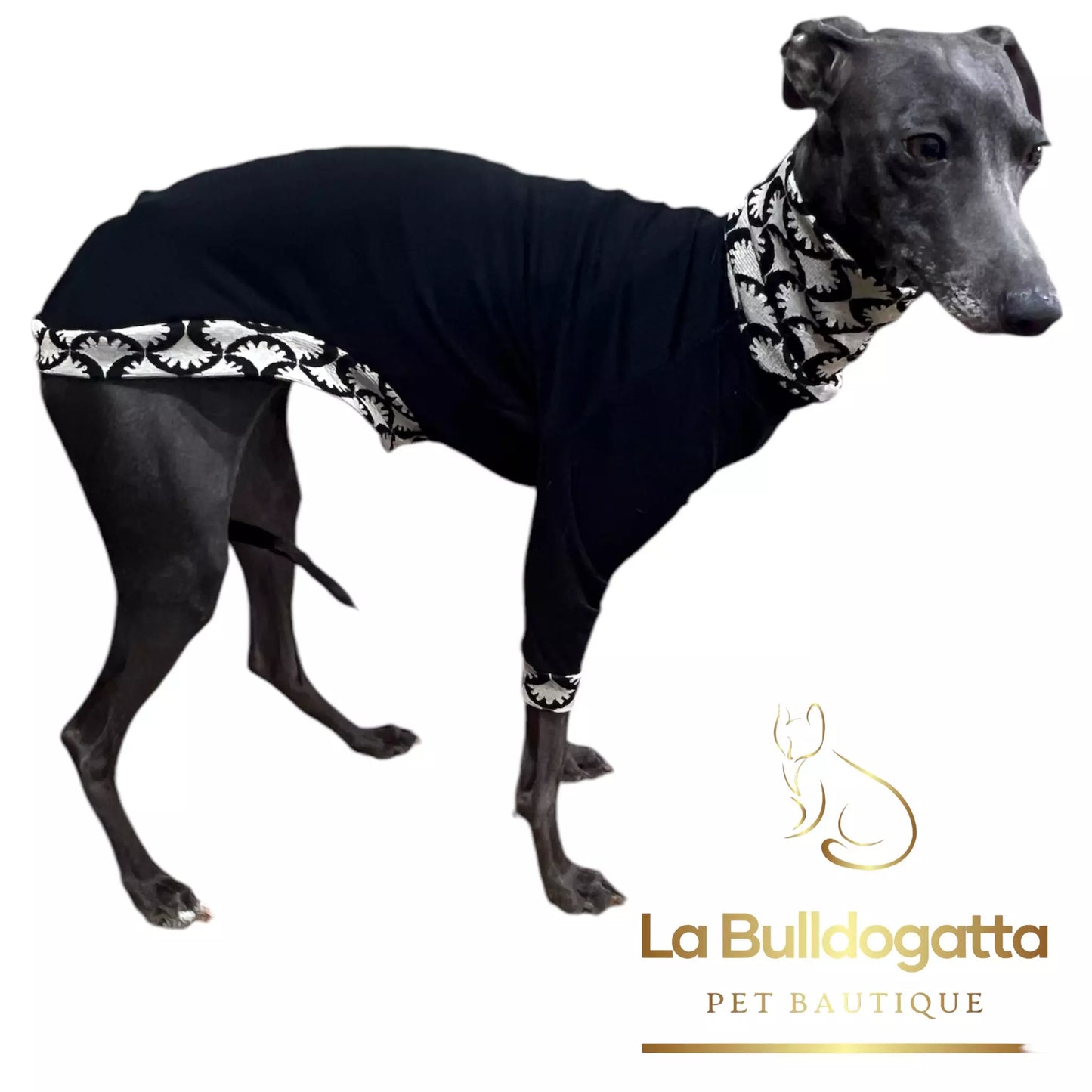 Felpina Black White Elegance PICCOLO LEVRIERO ITALIANO - SU MISURA