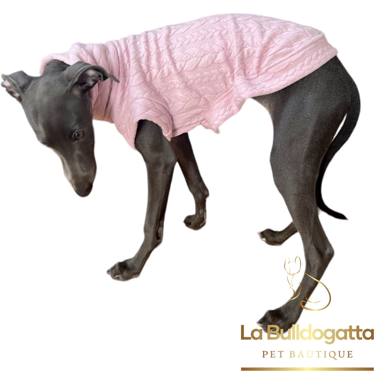 CUSTOM SWEATSHIRT SMALL ITALIAN GREYHOUND