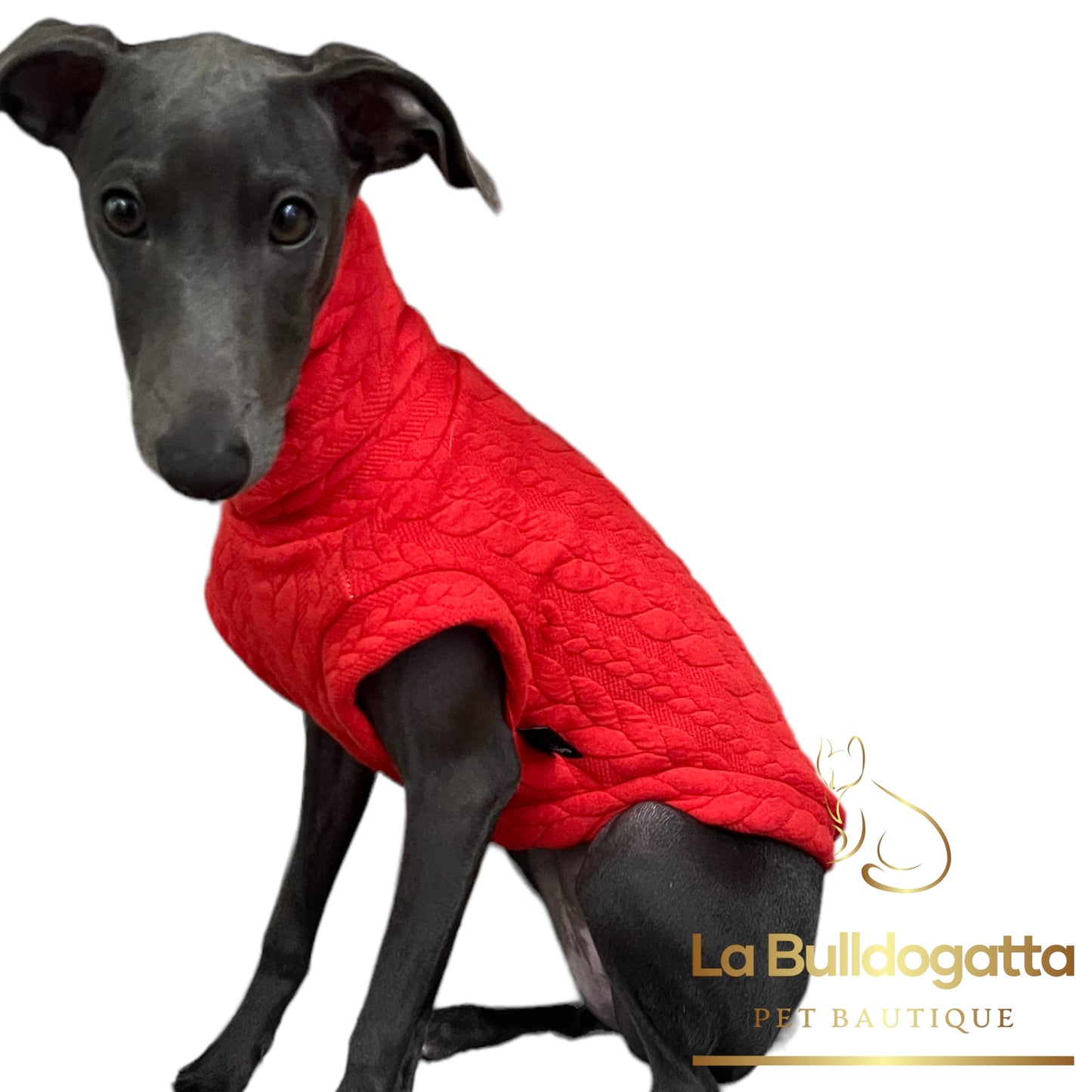 Felpina Trecce Basic PICCOLO LEVRIERO ITALIANO - piu' colori - SU MISURA