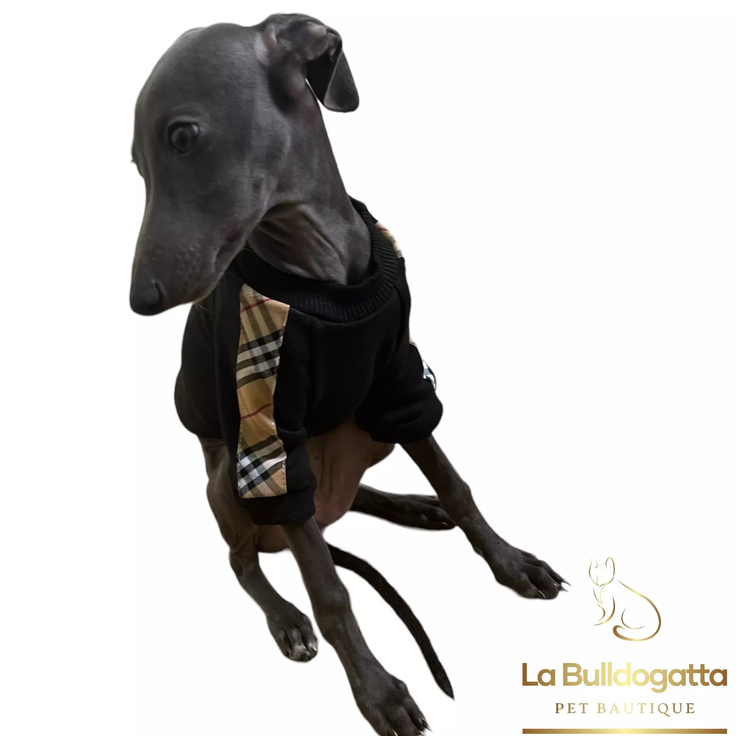 Felpina Cane Match dog owner Black-Tartan