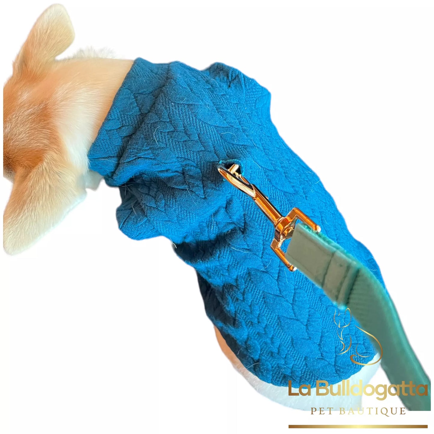 Royal blue Knit dog sweatshirt