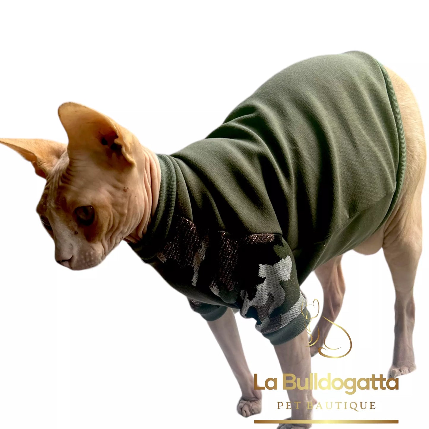 Vestitino sphynx con manica lunga Military Camo Glitter - SU MISURA