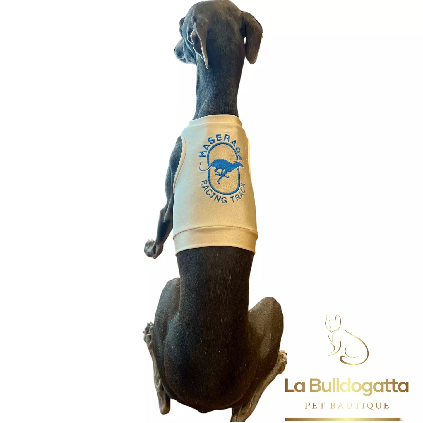 Gualdrappe personalizzate per levrieri - racing, coursing - premiazioni
