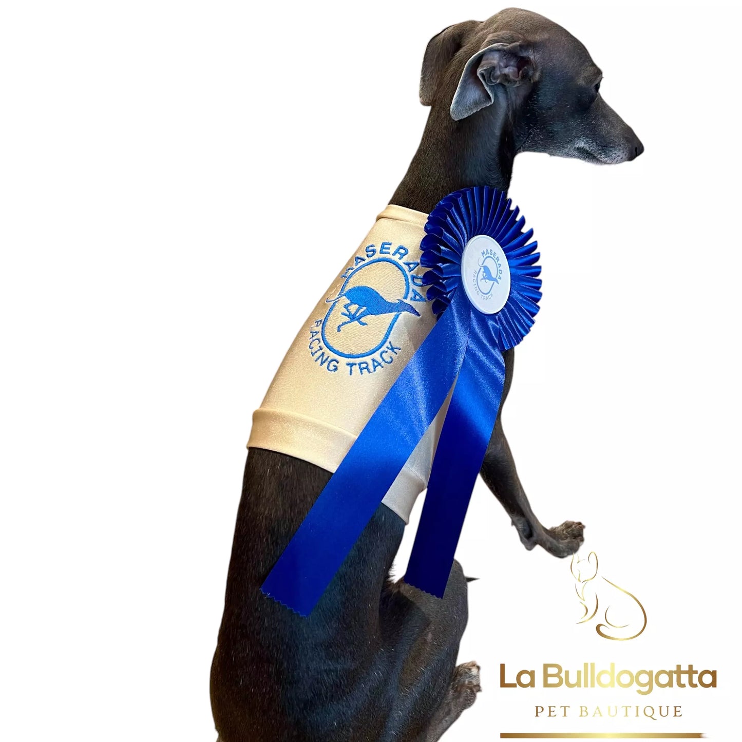 Gualdrappe personalizzate per levrieri - racing, coursing - premiazioni