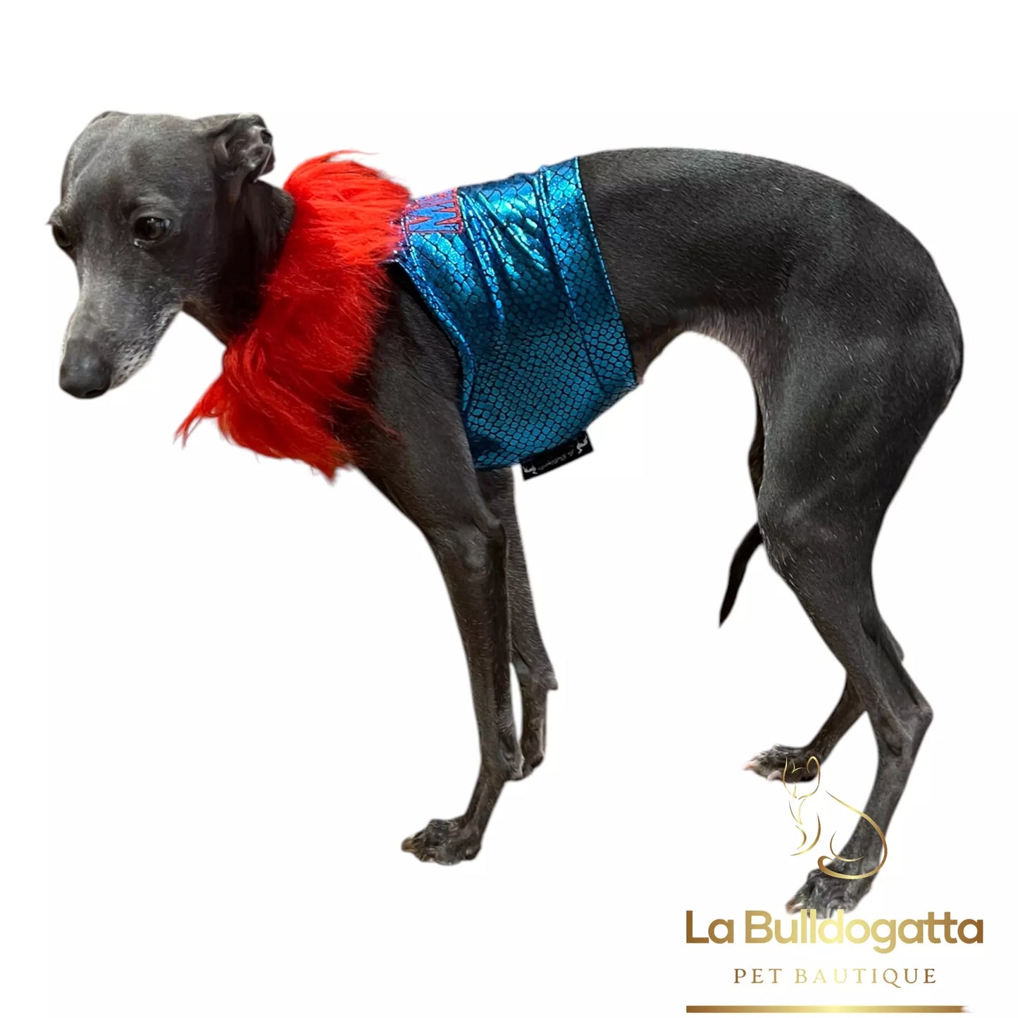 Gualdrappe personalizzate per levrieri - racing, coursing - SUPEREROI