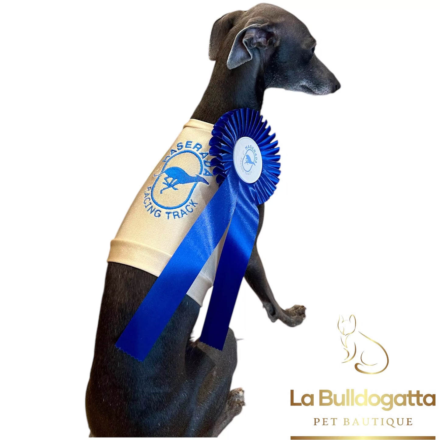 Gualdrappe personalizzate per levrieri - racing, coursing, squadra nazionale, premiazioni, supereroi