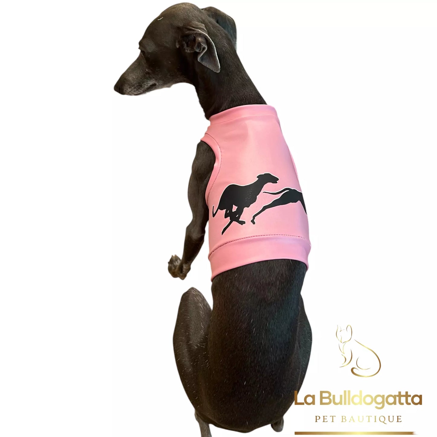Gualdrappa tessuto tecnico traspirante antipioggia per piccolo levriero italiano - racing, coursing - allenamento