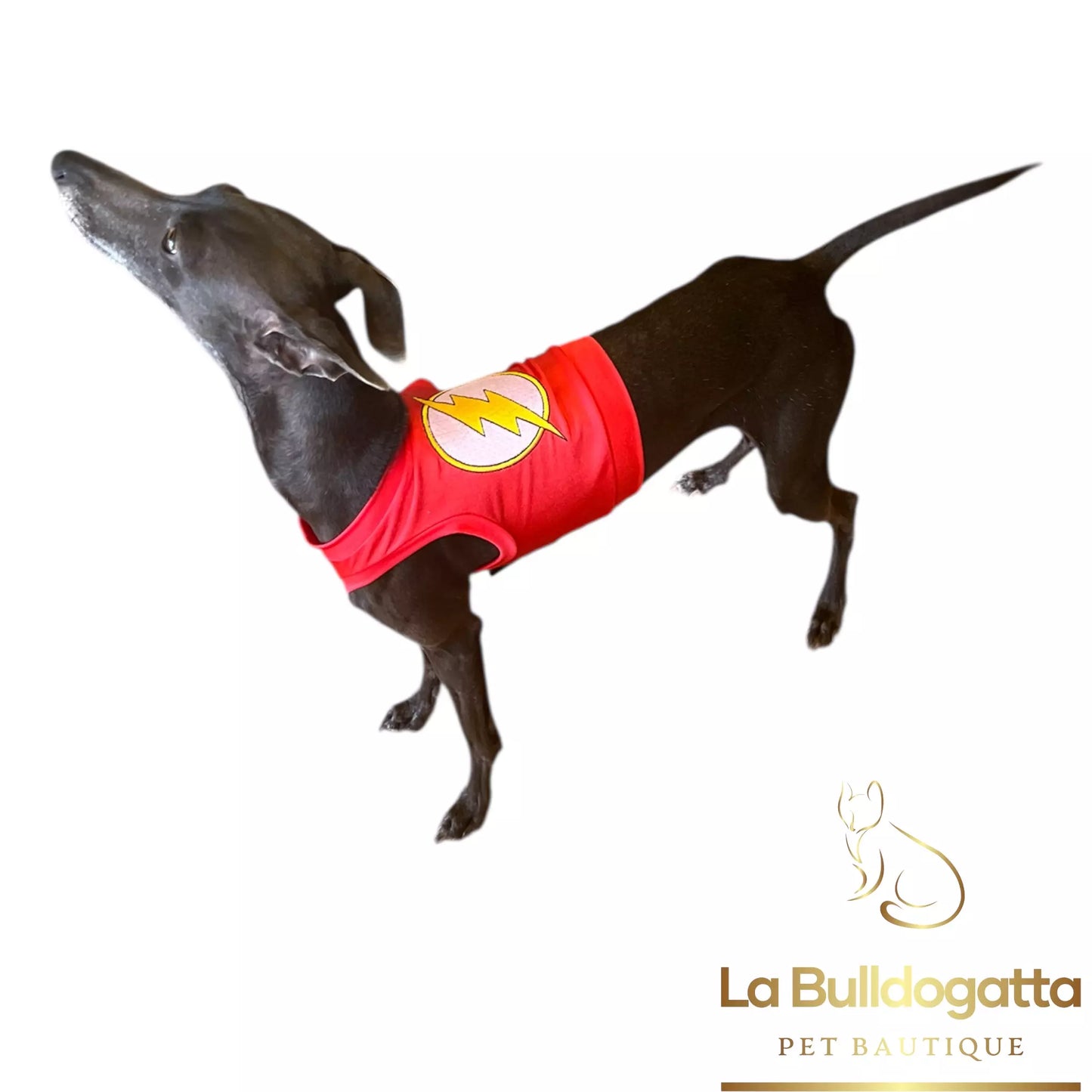 Gualdrappe personalizzate per levrieri - racing, coursing, squadra nazionale, premiazioni, supereroi