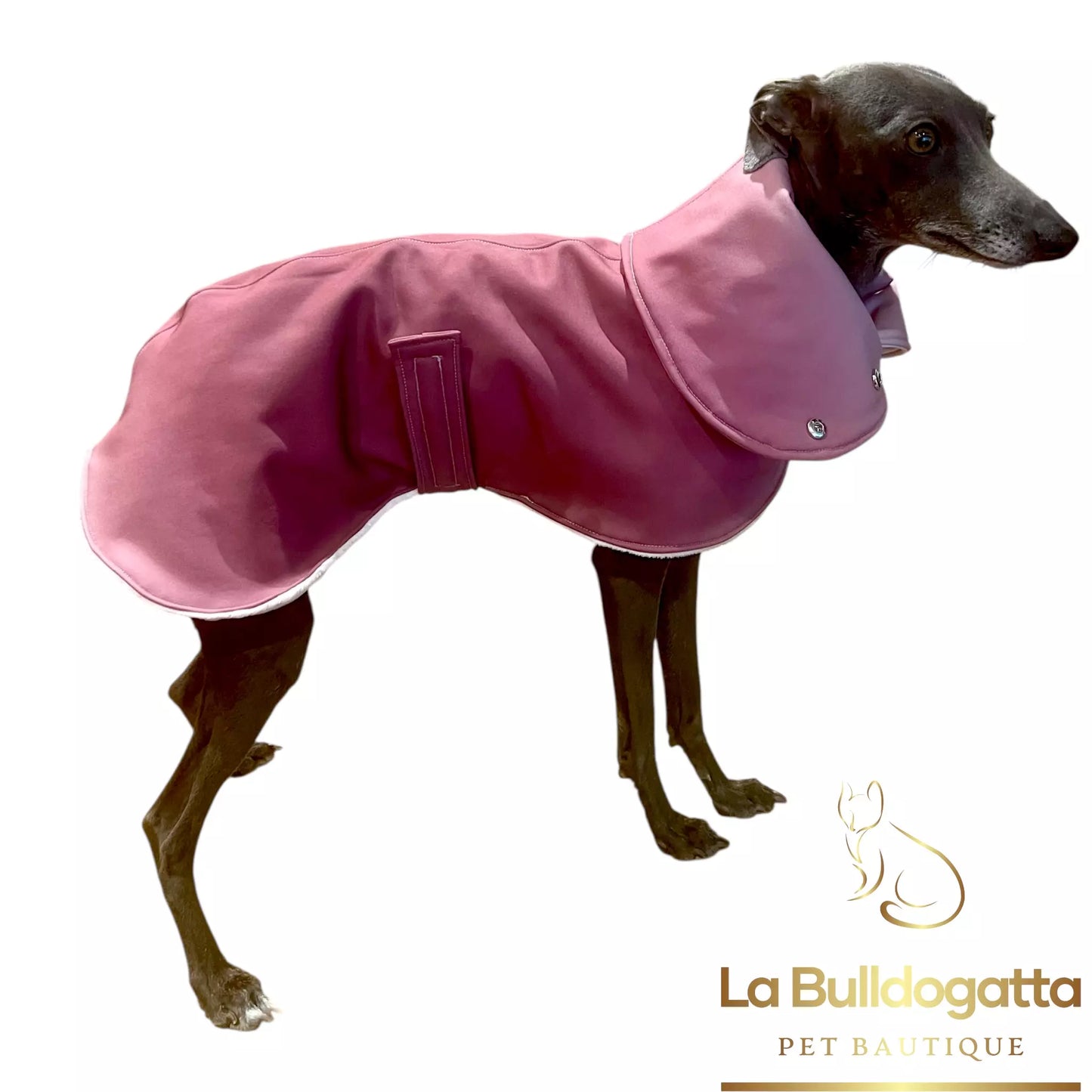Impermeabile sofshell invernale collo versatile  MAGENTA sfumato TAGLIA S - PICCOLO LEVRIERO ITALIANO