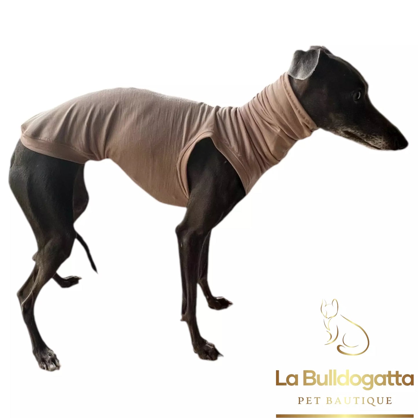 Maglia termica seconda pelle 100% Merino  - PICCOLO LEVRIERO ITALIANO - SU MISURA