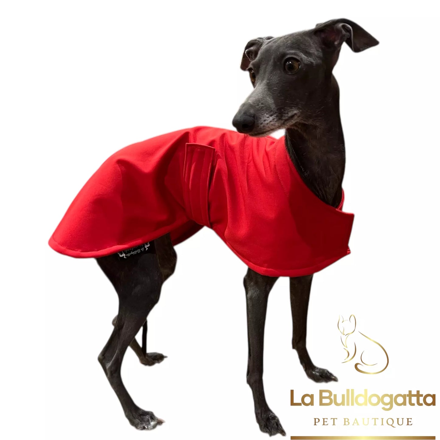 Mantellina caldo softshell coursing racing  - vari tessuti - PICCOLO LEVRIERO ITALIANO - SU MISURA