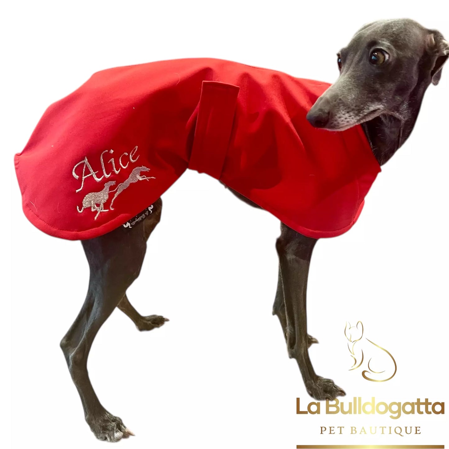 Mantellina caldo softshell coursing racing  - vari tessuti - PICCOLO LEVRIERO ITALIANO - SU MISURA