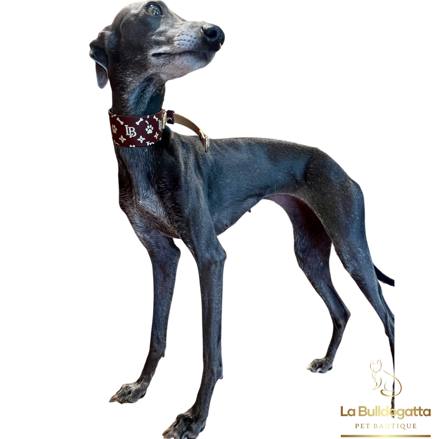 Martingala Monograms by  La Bulldogatta - PICCOLO LEVRIERO ITALIANO