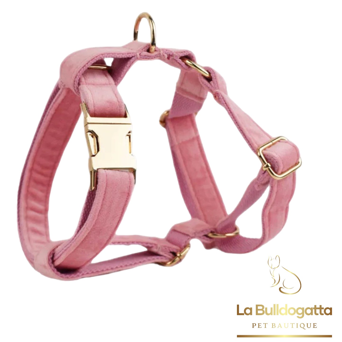 Set Pettorina a H, guinzaglio e fiocco velluto rosa