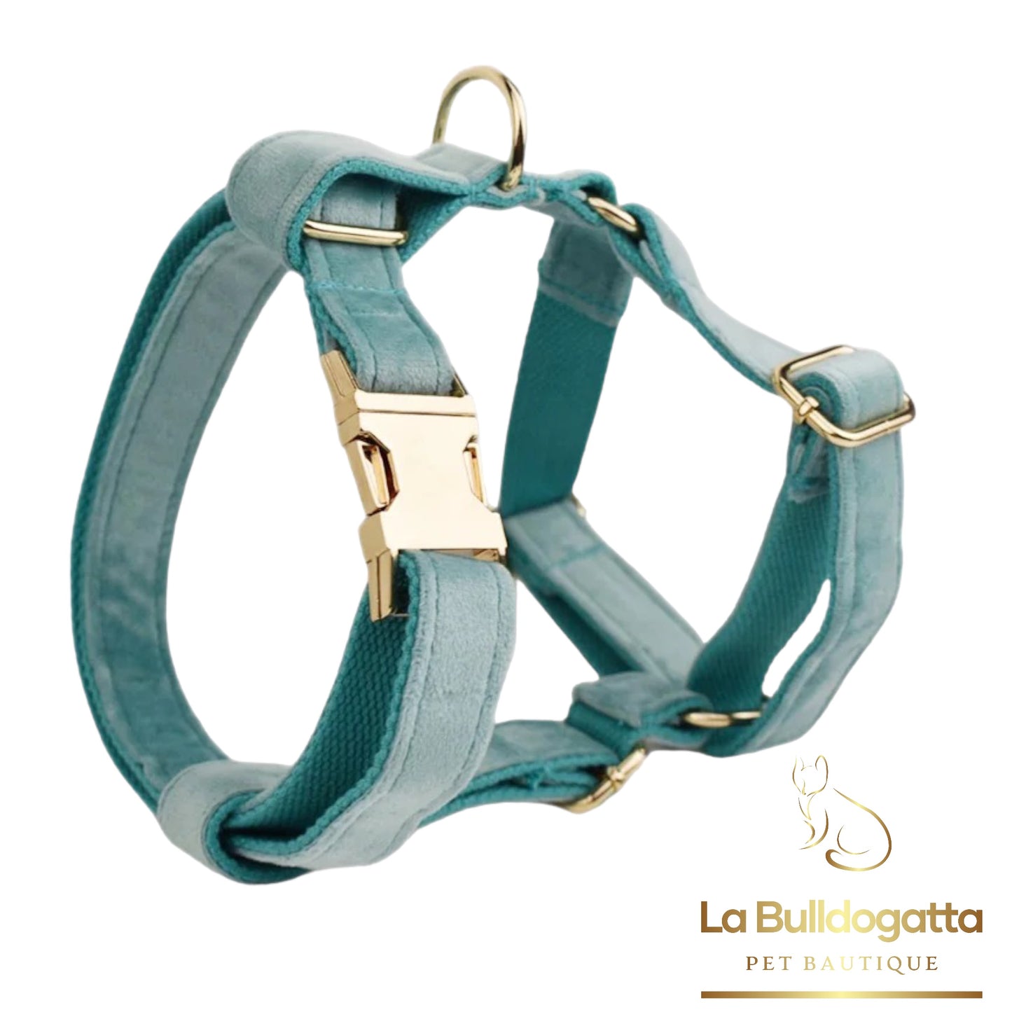 H-shaped harness, leash and tiffany green velvet bow set