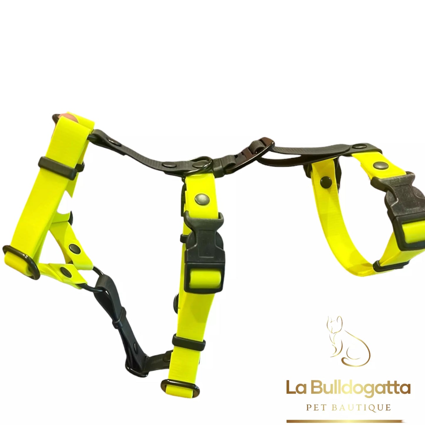 Pettorina doppia H  levriero in biothane