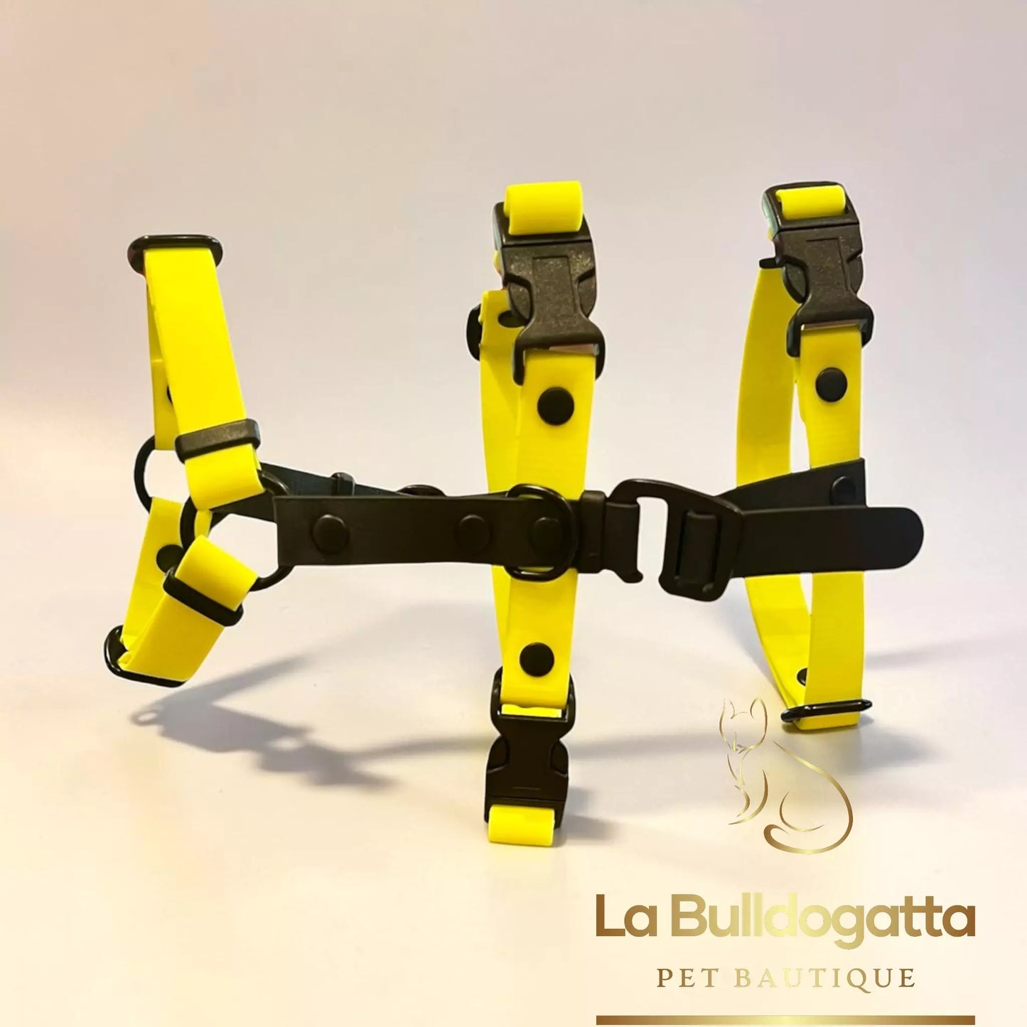 Pettorina doppia H  levriero in biothane