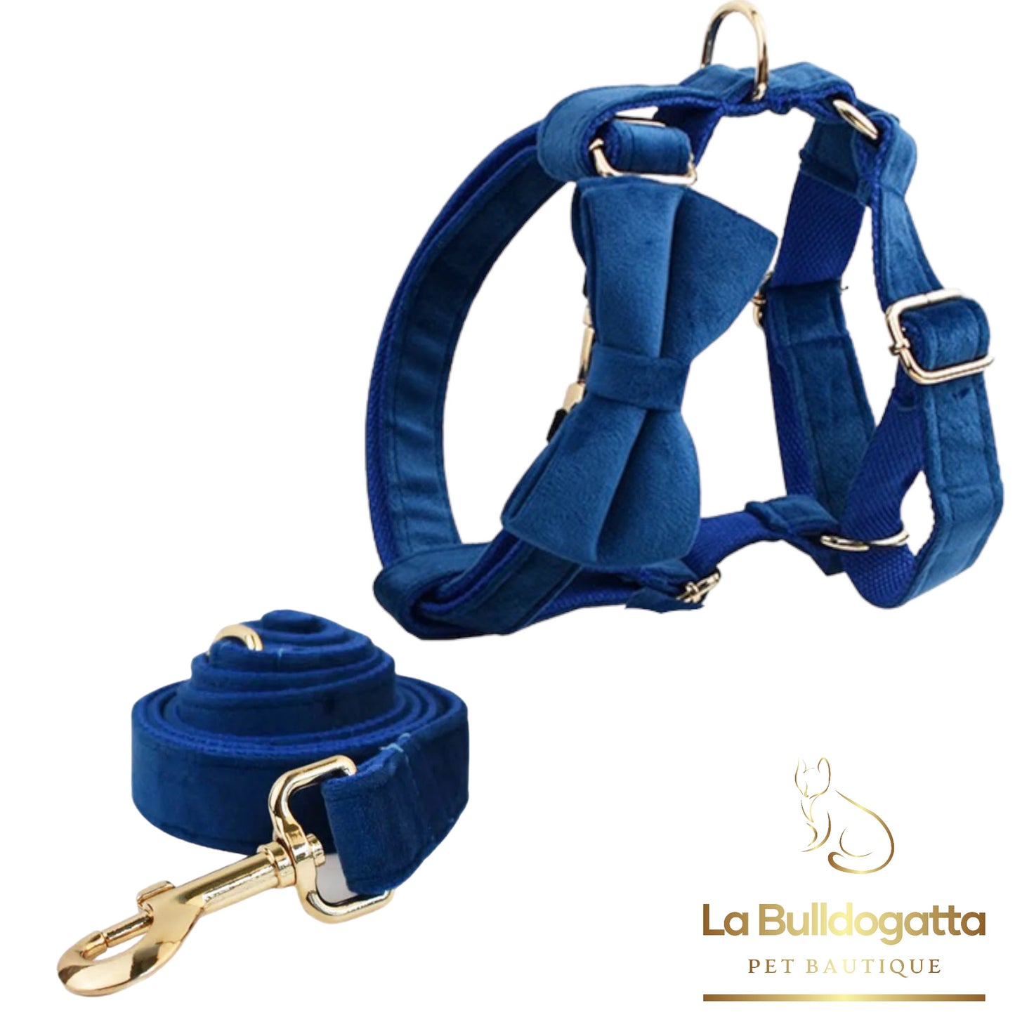 Royal blue velvet H-harness, leash and bow set