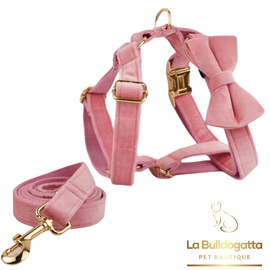 Set Pettorina a H, guinzaglio e fiocco velluto rosa