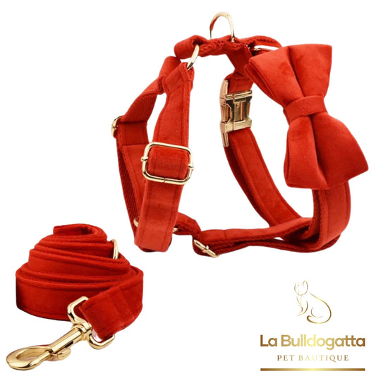 Set Pettorina a H, guinzaglio e fiocco velluto rosso