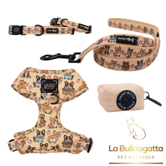 Corgilicious harness/collar set + leash + bag holder