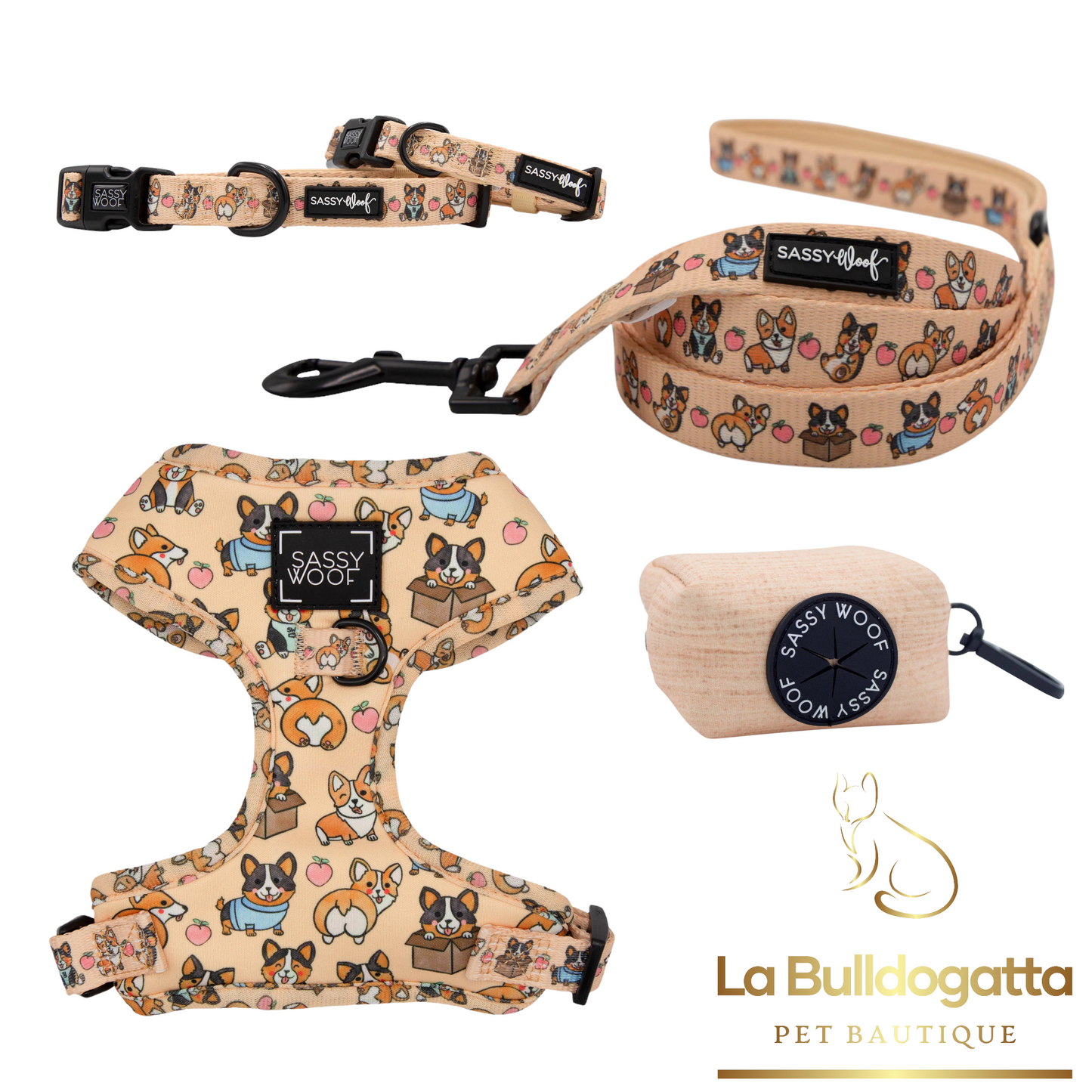 Set Corgilicious pettorina/collare + guinzaglio + borsetta portasacchetti