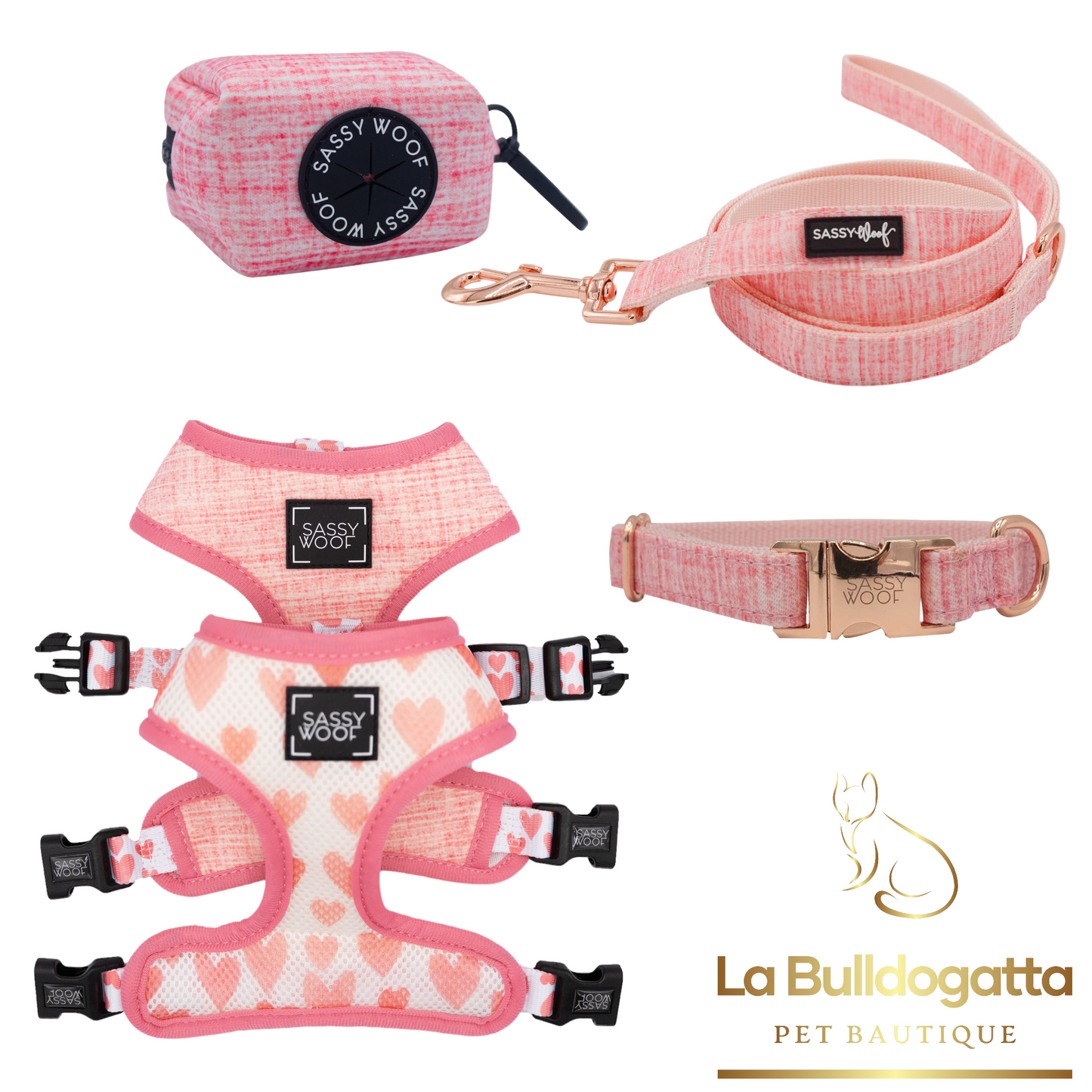 DolceRose harness/collar set + leash + bag holder