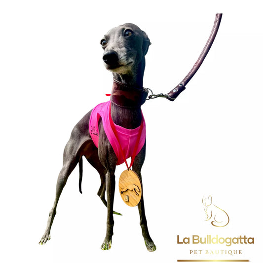 Gualdrappe personalizzate per levrieri - racing, coursing - premiazioni