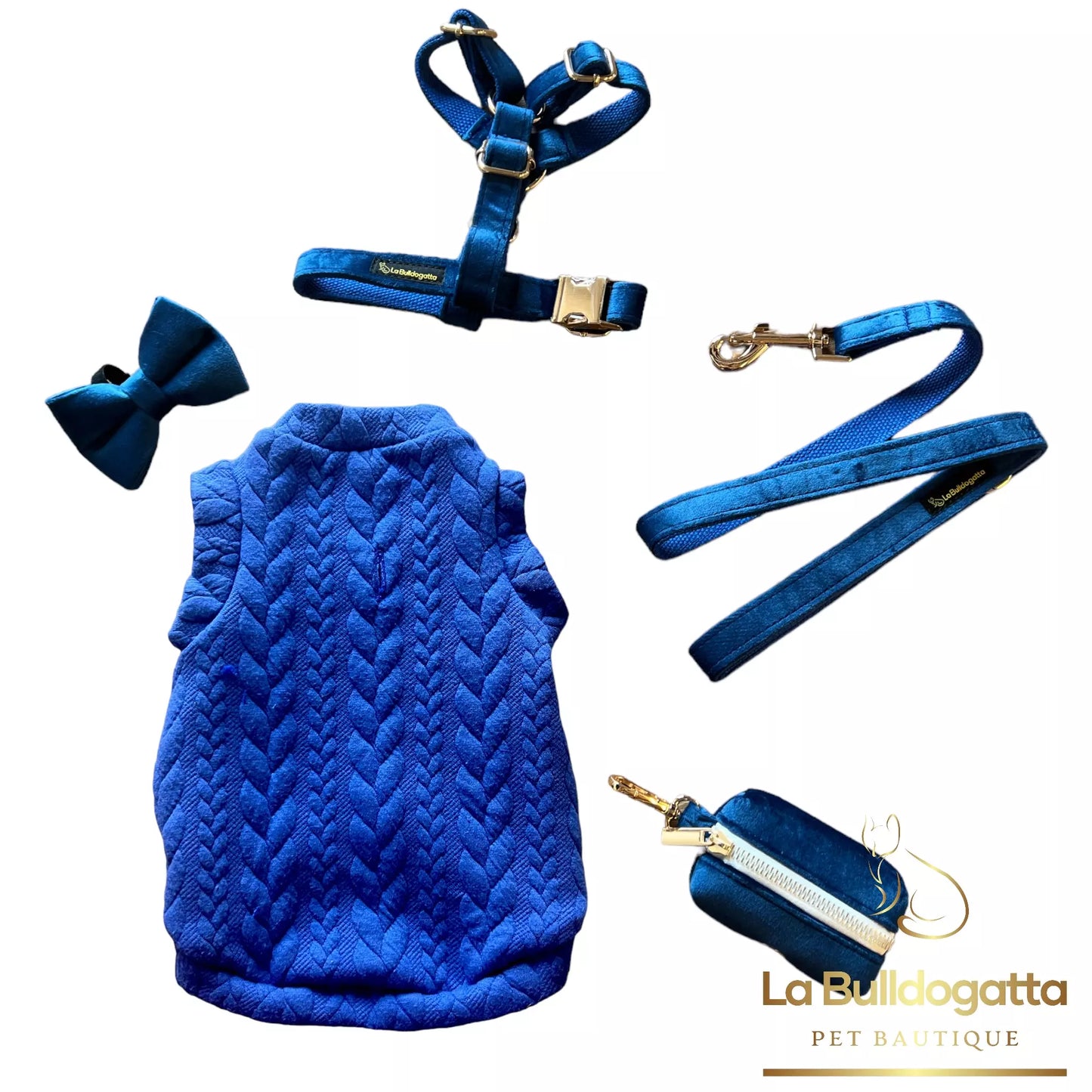 Royal blue velvet H-harness, leash and bow set