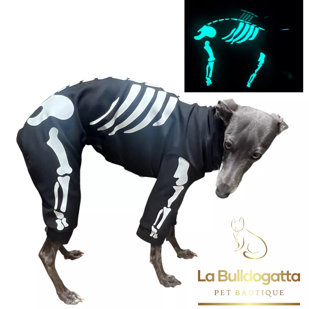 Tutina Skeleton Glow In the Dark - PICCOLO LEVRIERO ITALIANO