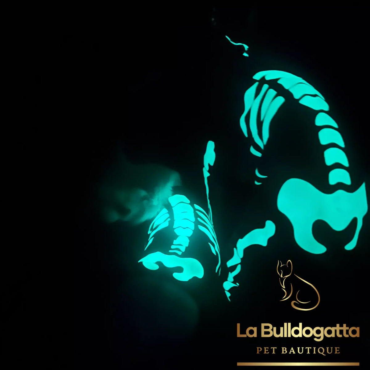 Tutina Skeleton Glow In the Dark - PICCOLO LEVRIERO ITALIANO