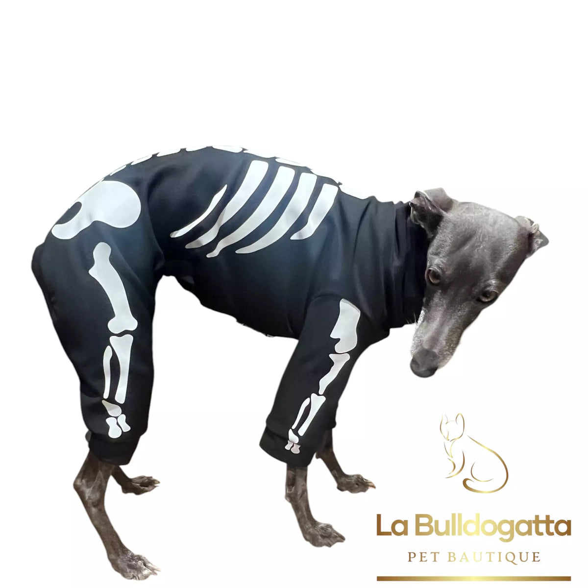 Tutina Skeleton Glow In the Dark - PICCOLO LEVRIERO ITALIANO