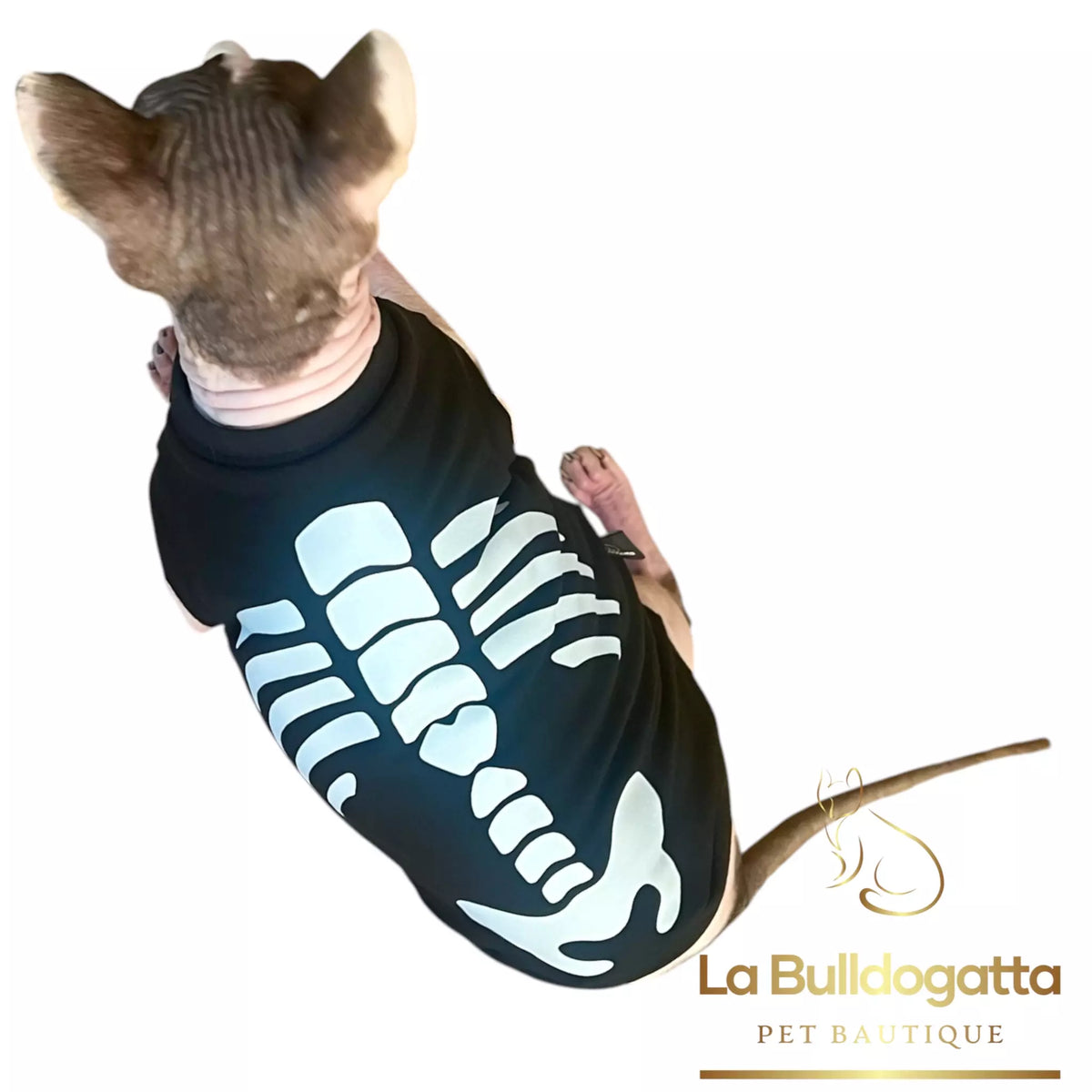 Vestitino sphynx Skeleton - edizione limitata -  IN ARRIVO